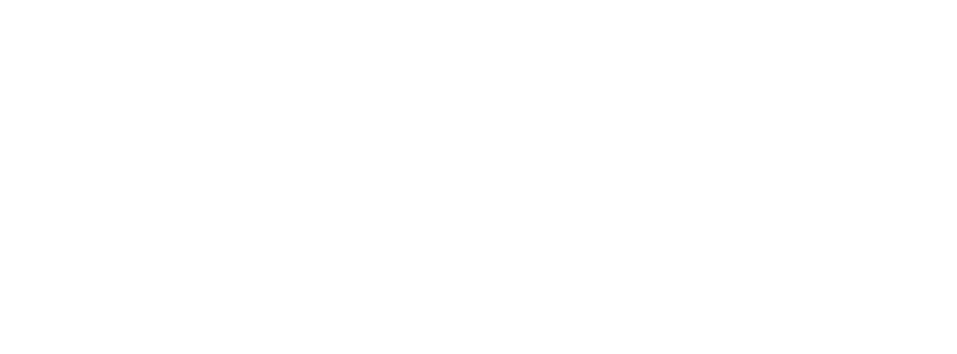 Netfinder's logo